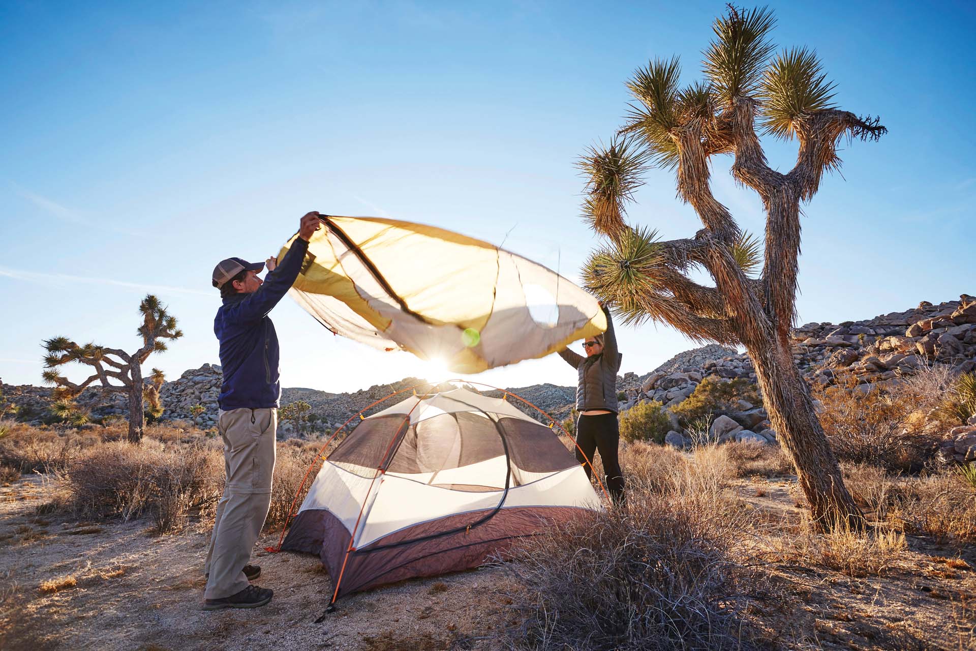 Campers assembling tent, Joshua Tree National Park, California
