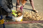 community-spirit-shines-in-monthly-cleanup-event-9